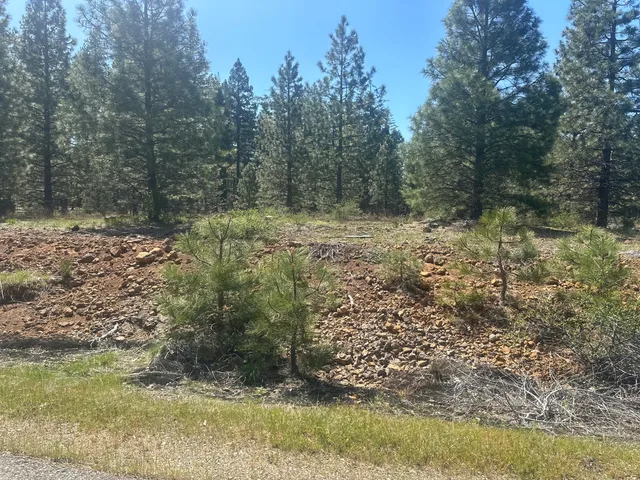 $69,500 | Lot 1 Mount Lassen Woods Drive, Shingletown, CA 96088
