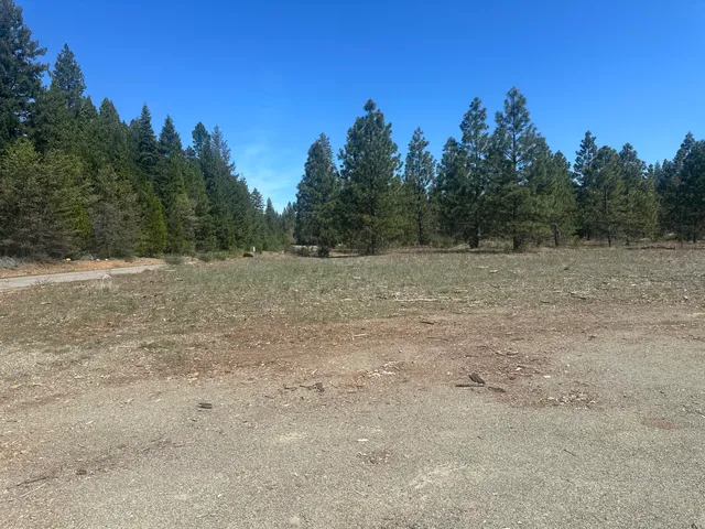 $69,500 | Lot 1 Mount Lassen Woods Drive, Shingletown, CA 96088