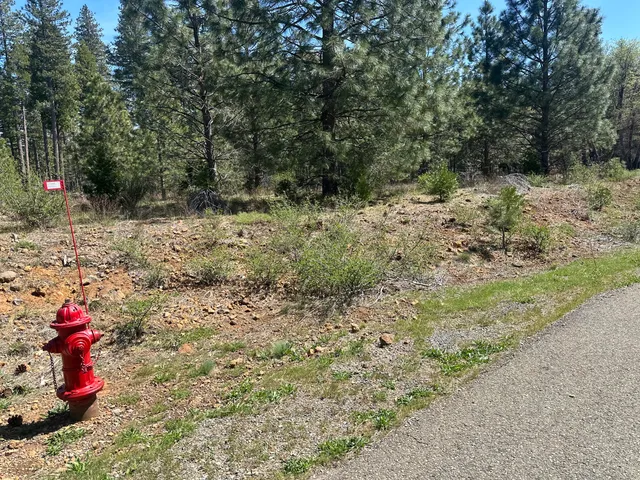 $69,500 | Lot 1 Mount Lassen Woods Drive, Shingletown, CA 96088
