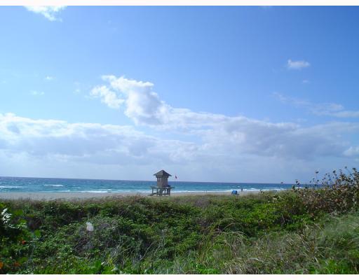 215 Grove Delray Beach Delray Beach, FL 33444 - Photo 15 of 15 Additional Photo