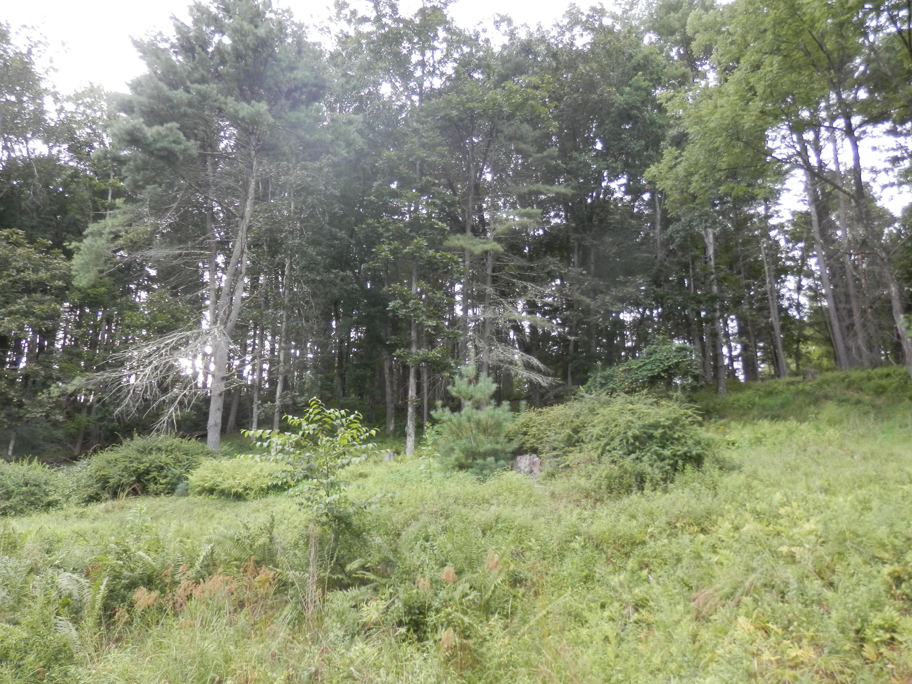 140 Hotel Road Hawley, PA 18428 - Photo 2 of 24 Beautiful Land