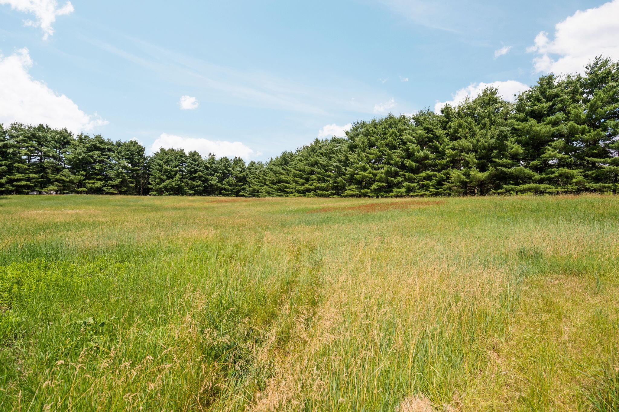 18250 Bush Road Chelsea, MI 48118 - Photo 1 of 18 Possible Walkout - 3.87 AC.