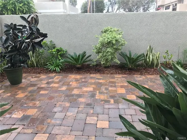 a view of a backyard with plants