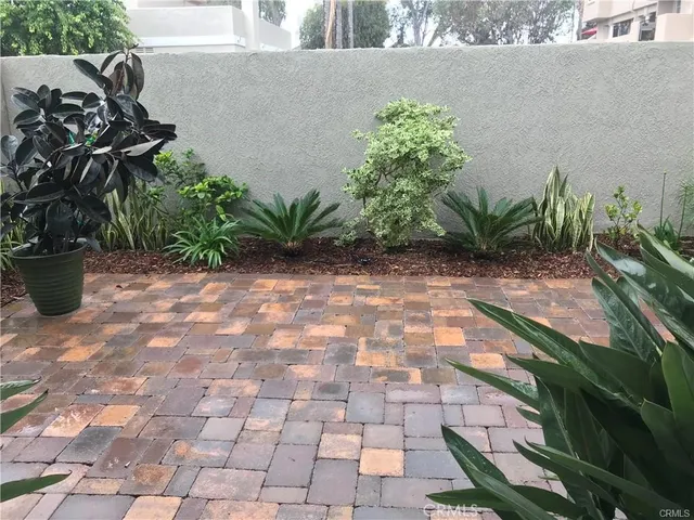 a view of a backyard with plants