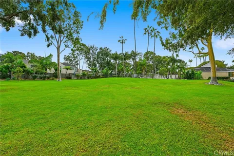 a sign that is on the side of the tree