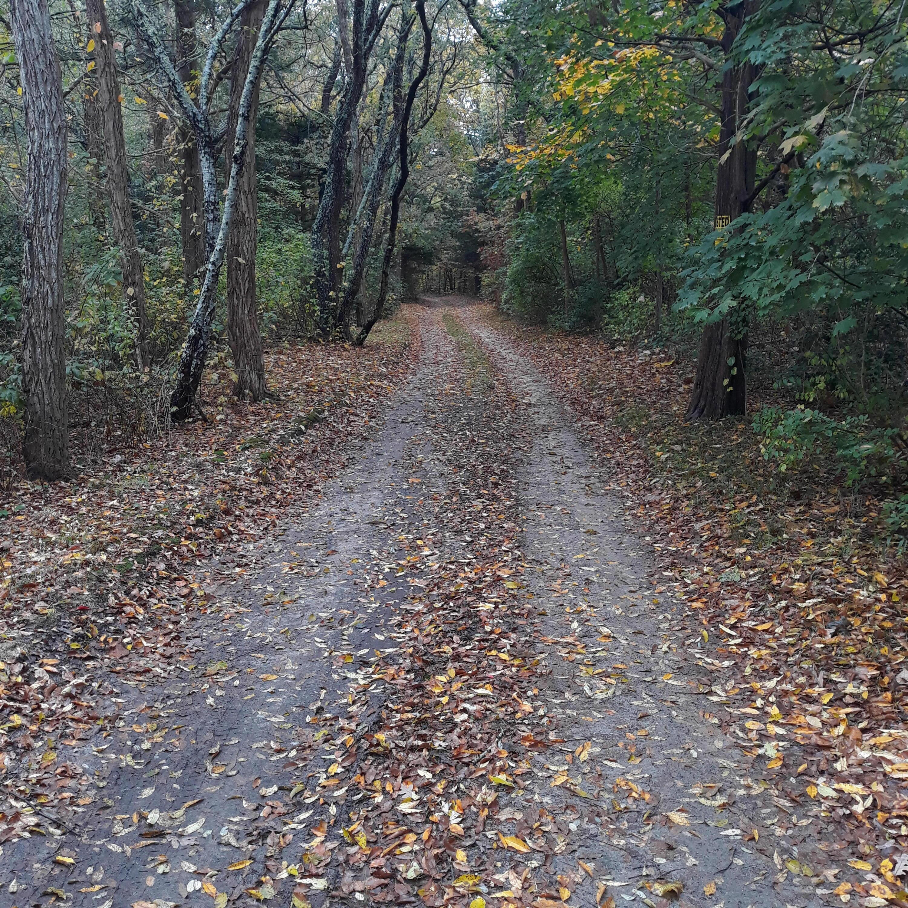 1 Pasture Road East Sandwich, MA 02537 - Photo 2 of 6 IN 420' FROM RT 6A LOOKING TOWARDS RAILR