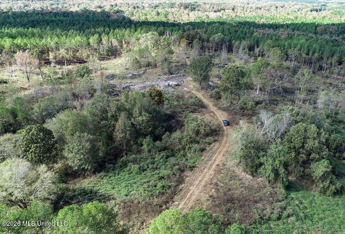 154 County Road Tillatoba, MS 38961 - Photo 16 of 58 4kgrdn55-orig_orig
