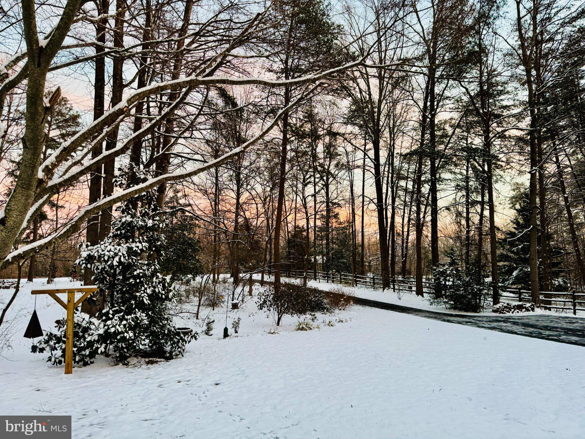 230 Richards Ferry Road Fredericksburg, VA 22406 - Photo 90 of 96 Winter's serene snowy embrace.