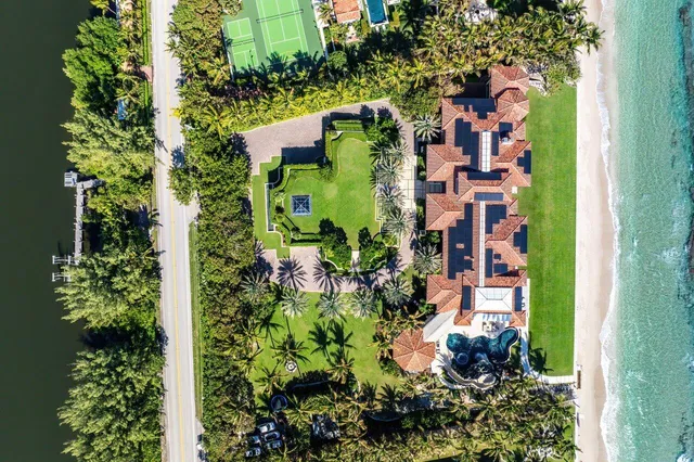 a view of a backyard with a garden and plants