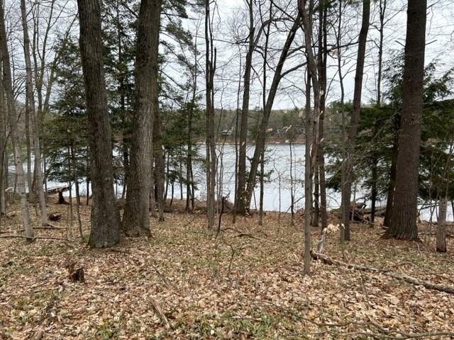 Reynolds Road, Unit LOT: B Lake Ann, MI 49650 - Photo 13 of 21