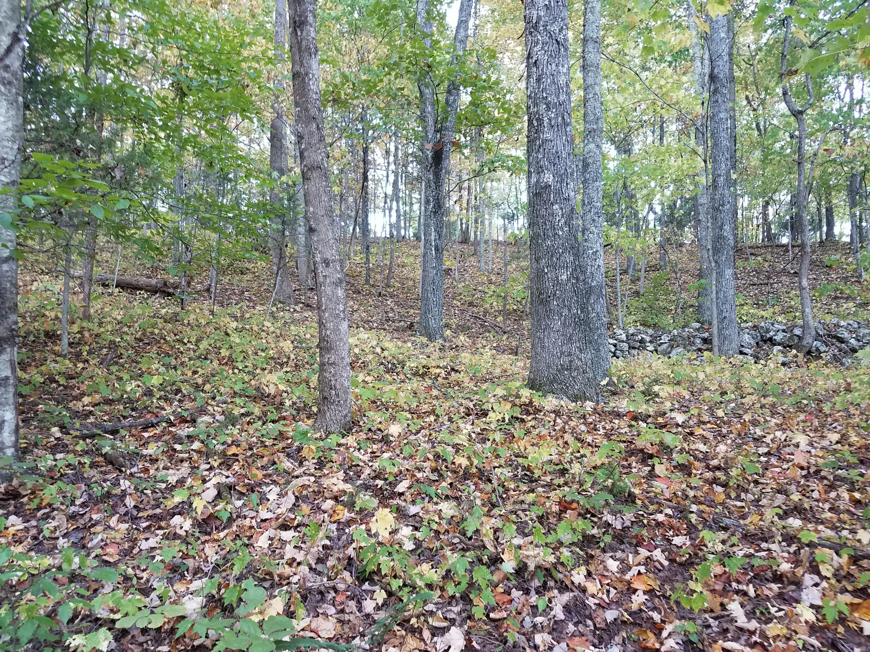 25.76 Acres Road Tazewell, TN 37879 - Photo 12 of 30 20161024_180512