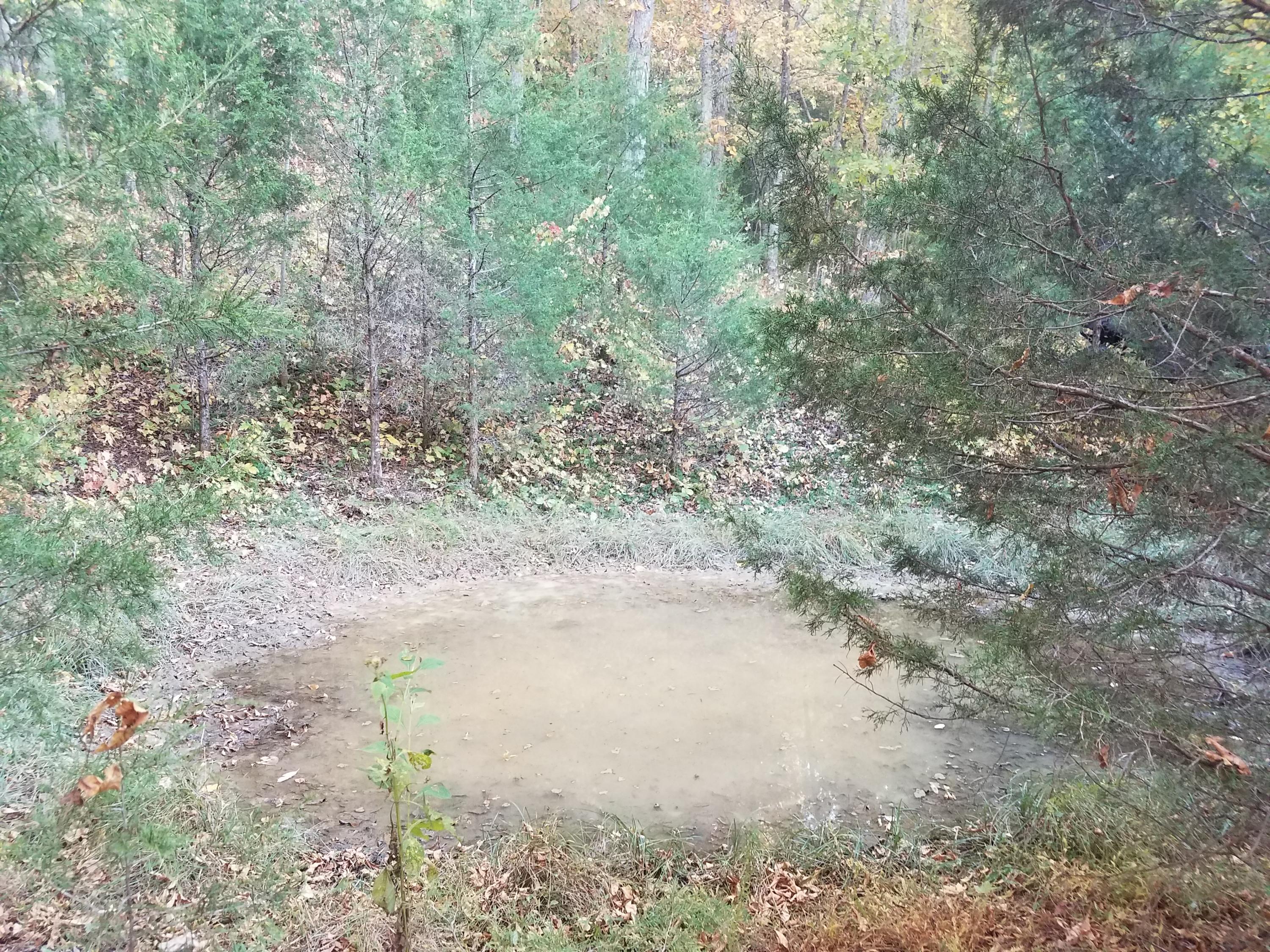 25.76 Acres Road Tazewell, TN 37879 - Photo 20 of 30 20161024_181508