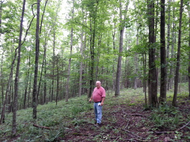 25.76 Acres Road Tazewell, TN 37879 - Photo 9 of 30 20160707_140511