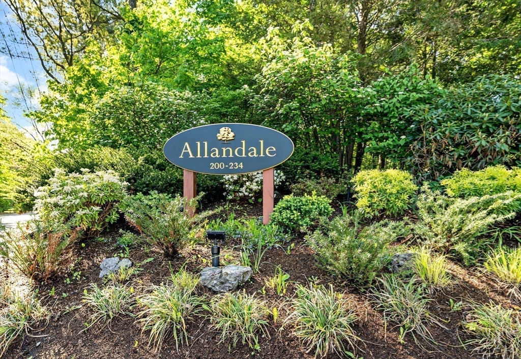 206 Allandale Road, Unit 3C Boston, MA 02467 - Photo 37 of 37