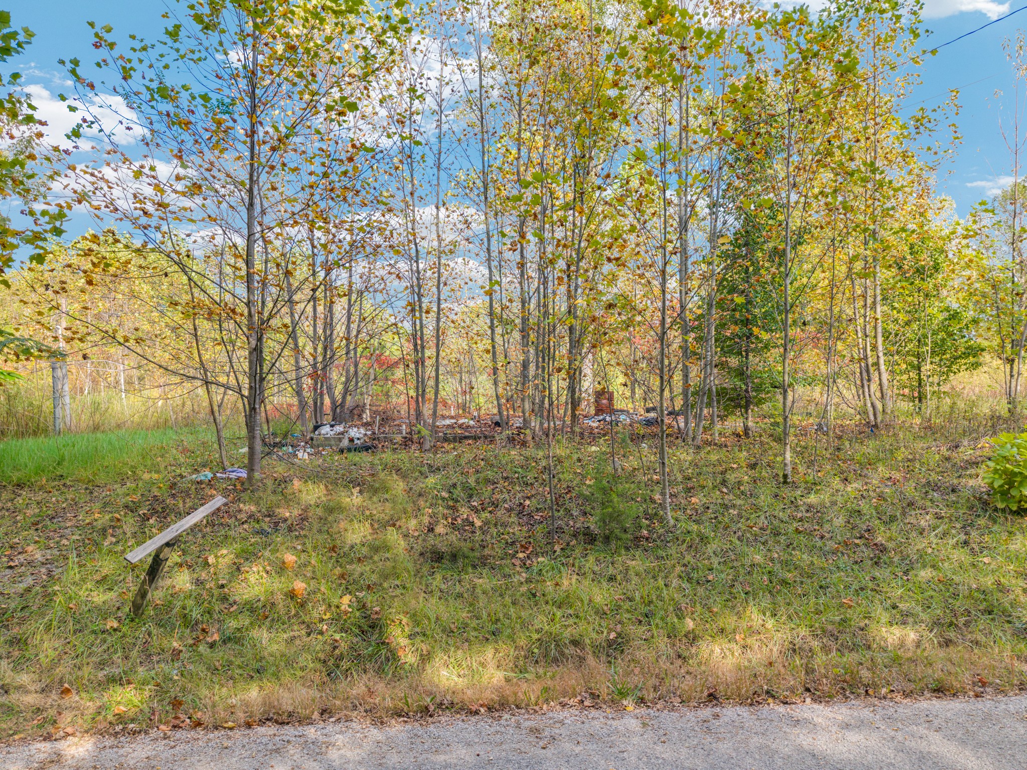 202 Sells Cemetery Road Wilder, TN 38589 - Photo 7 of 10 Gallery Image 7