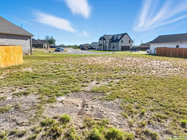 a large room with lots of trees in front of it