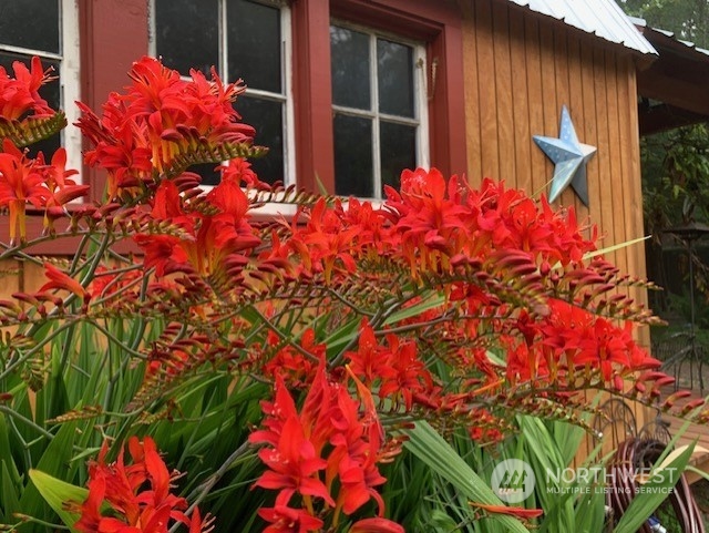 145 Bartlett Road Mossyrock, WA 98564 - Photo 28 of 40 Gallery Image 28