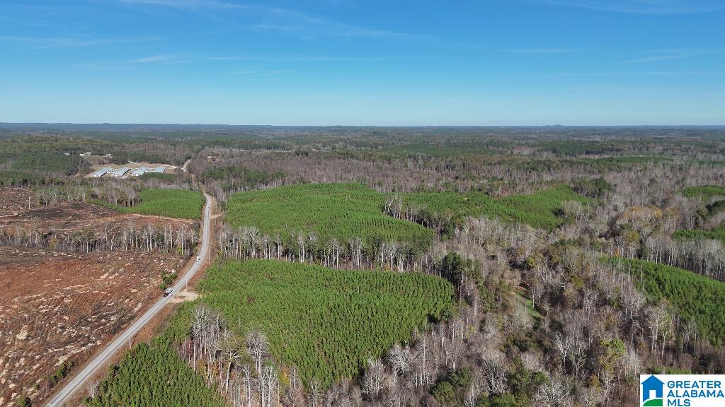 0 County Road 65 Fruithurst, AL 36262 - Photo 5 of 14