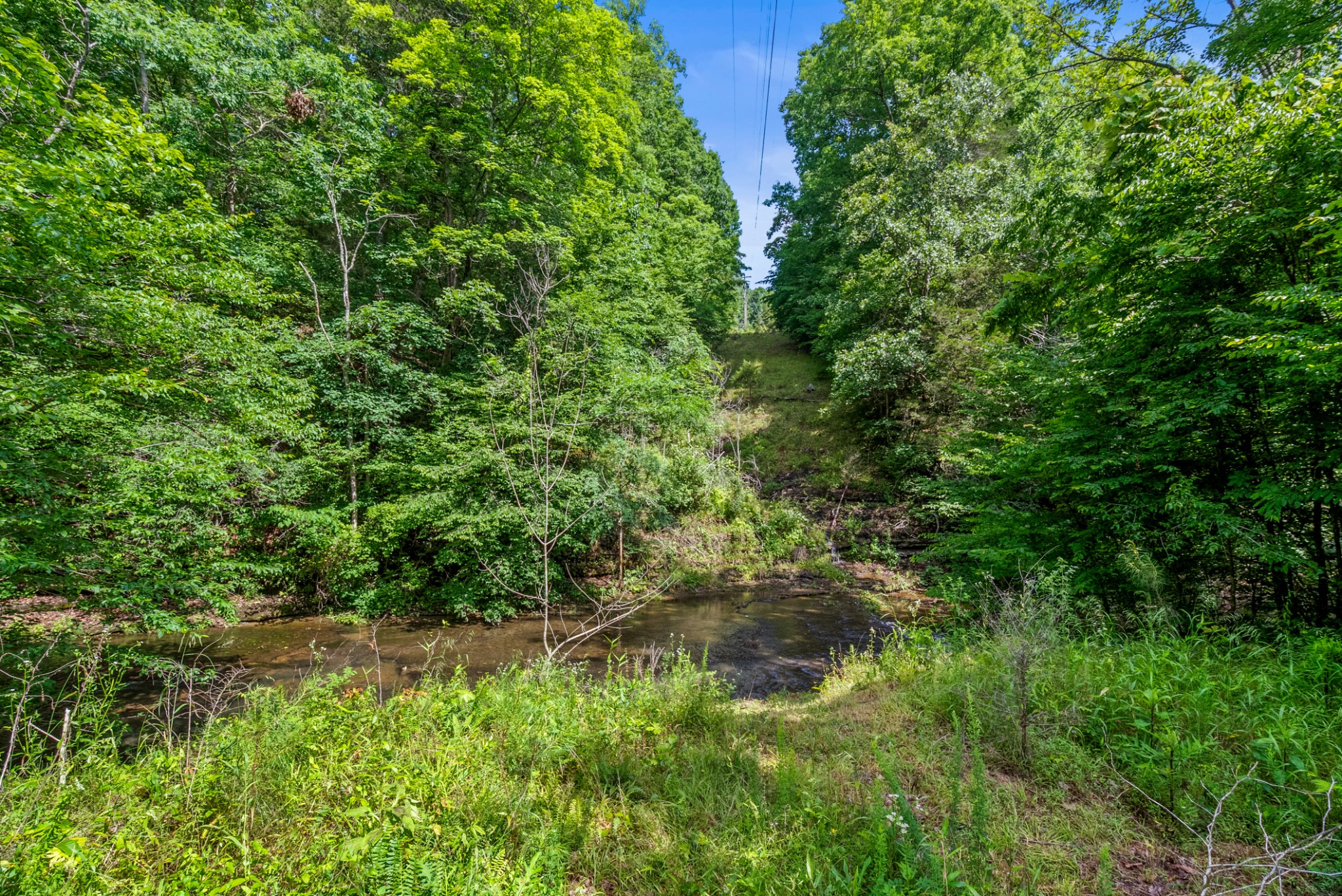 1150 Treanor Springs Road Kingston Springs, TN 37082 - Photo 43 of 48