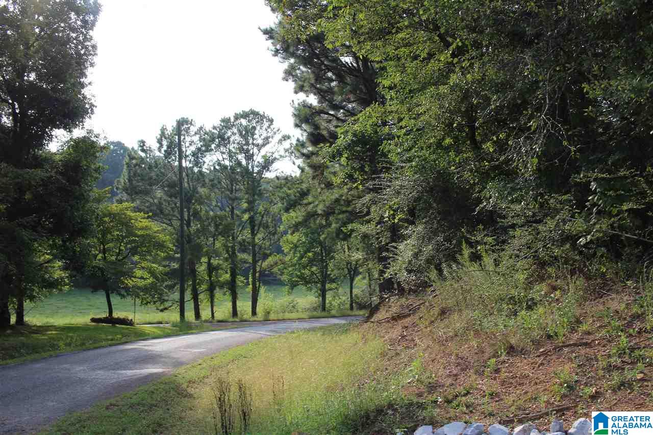 1895 Brooks Lake Road Lincoln, AL 35096 - Photo 5 of 49