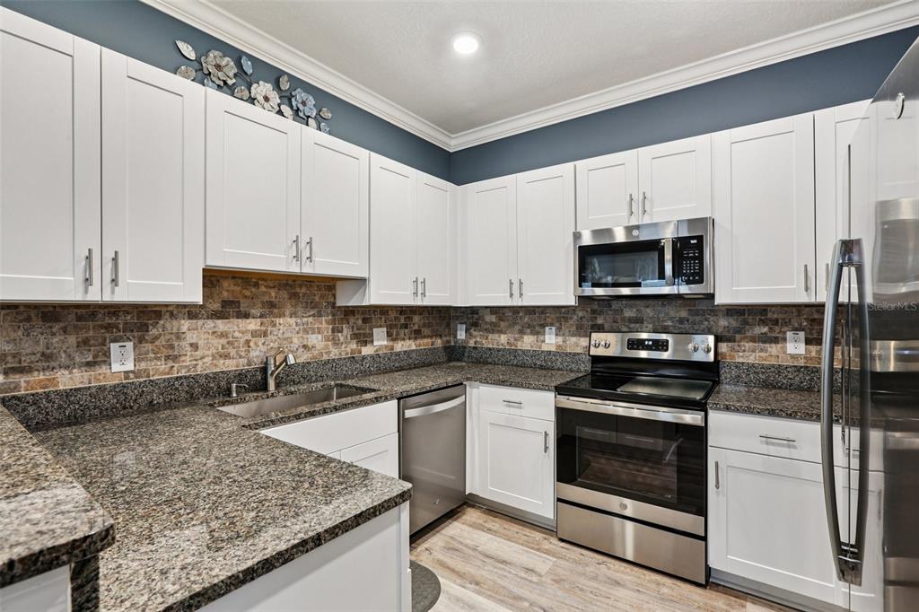 6862 Ripple Pond Loop Zephyrhills, FL 33541 - Photo 8 of 39 Gallery Image 8