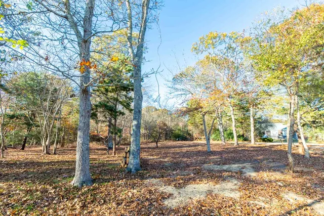 a view of outdoor space with trees