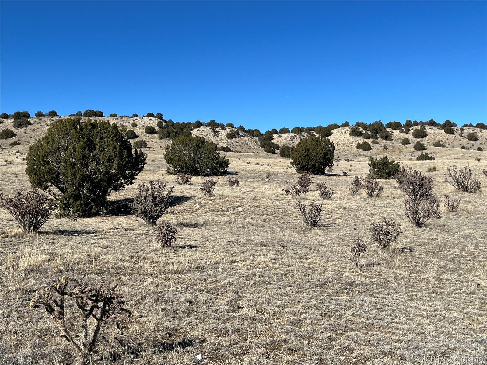53 Horse Creek Road Pueblo, CO 81004 - Photo 13 of 34 a view of a snow on the beach