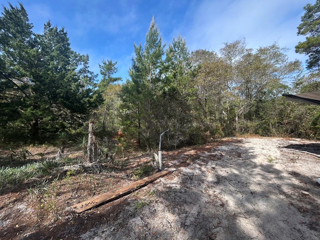 1863 Lighthouse Road Carrabelle, FL 32322 - Photo 14 of 15 Gallery Image 14