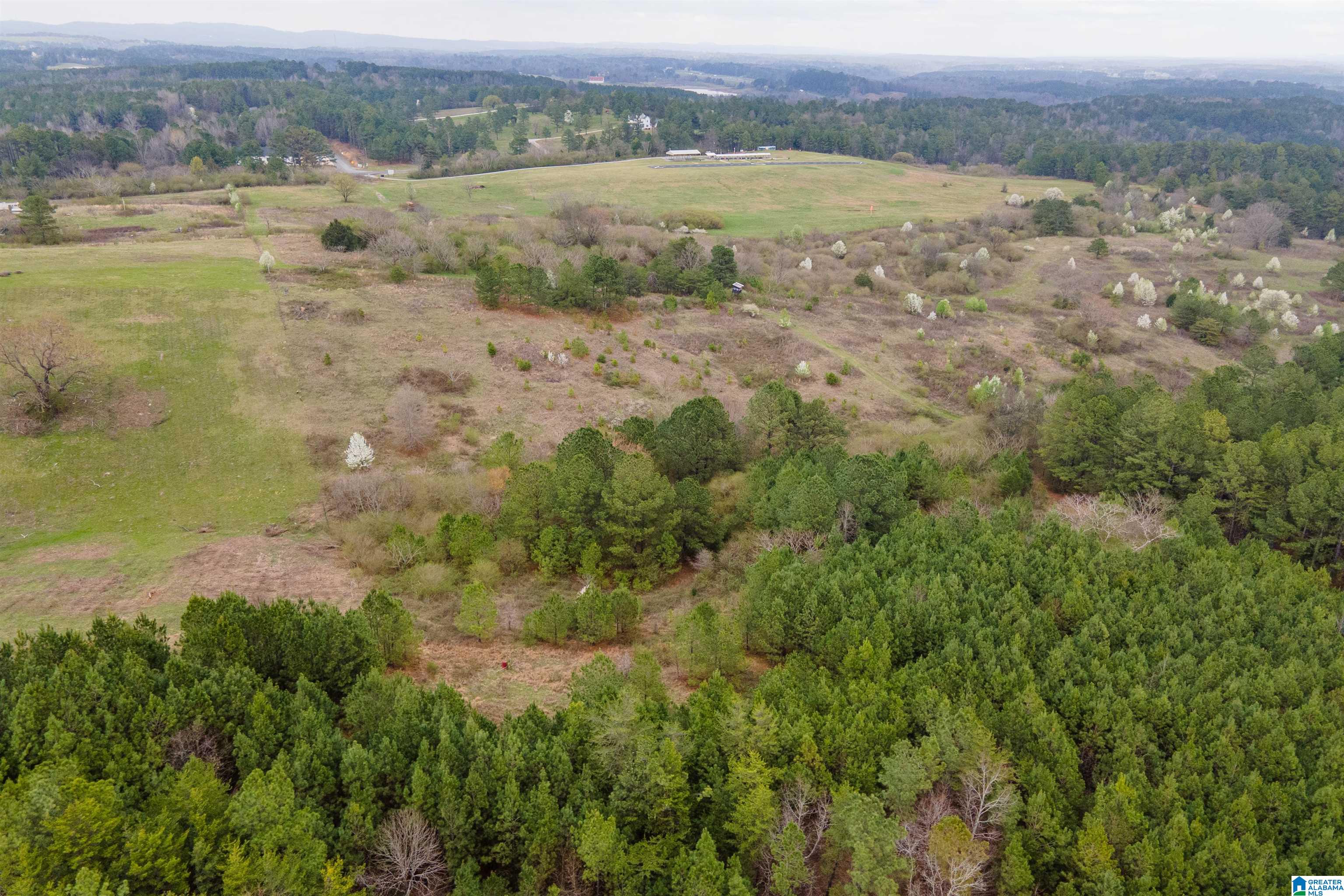 700 Sardis Road Gardendale, AL 35071 - Photo 7 of 16