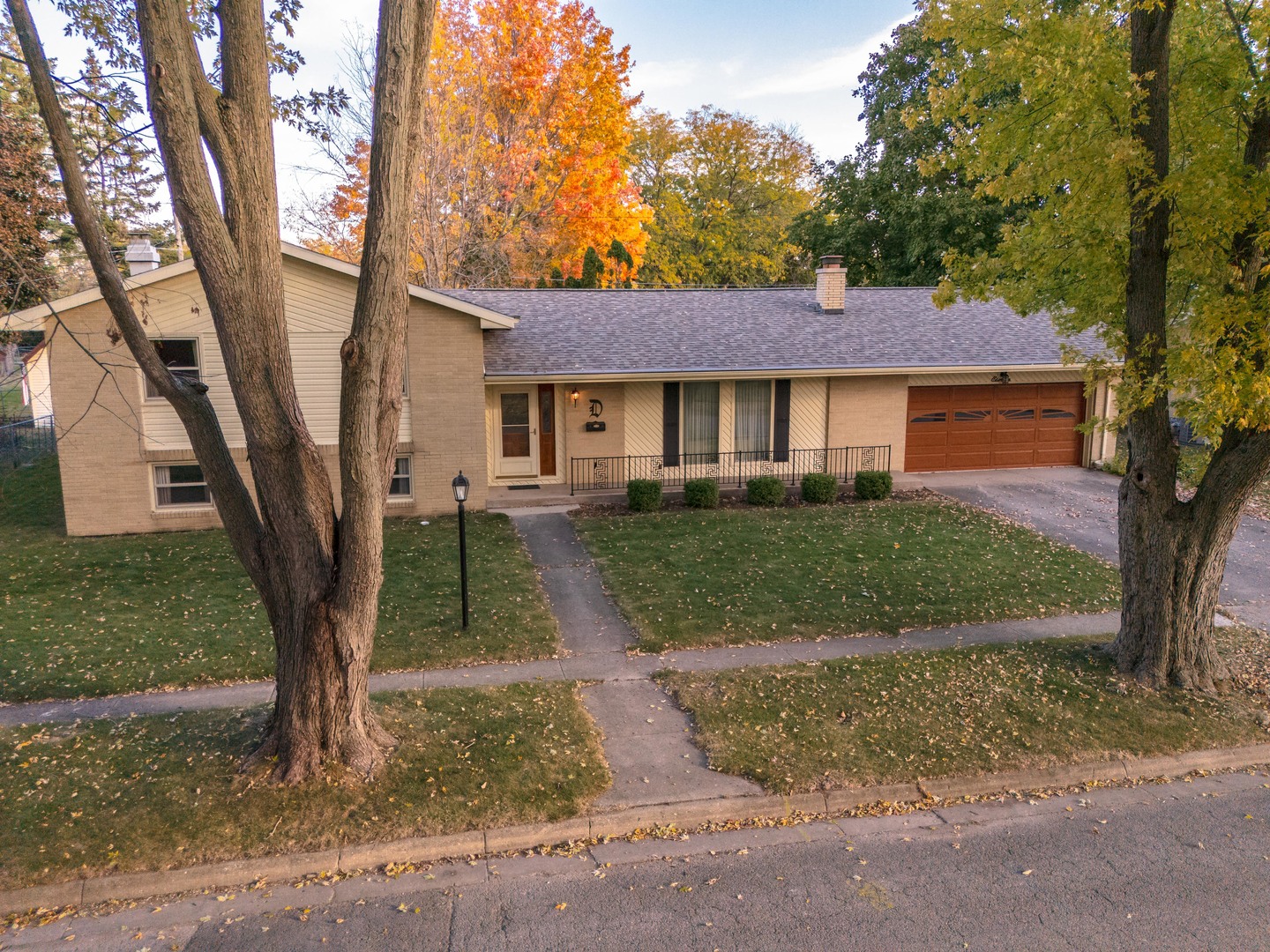 11 Manor Drive Pontiac, IL 61764 - Photo 42 of 45 a view of a yard in front of a house with a tree