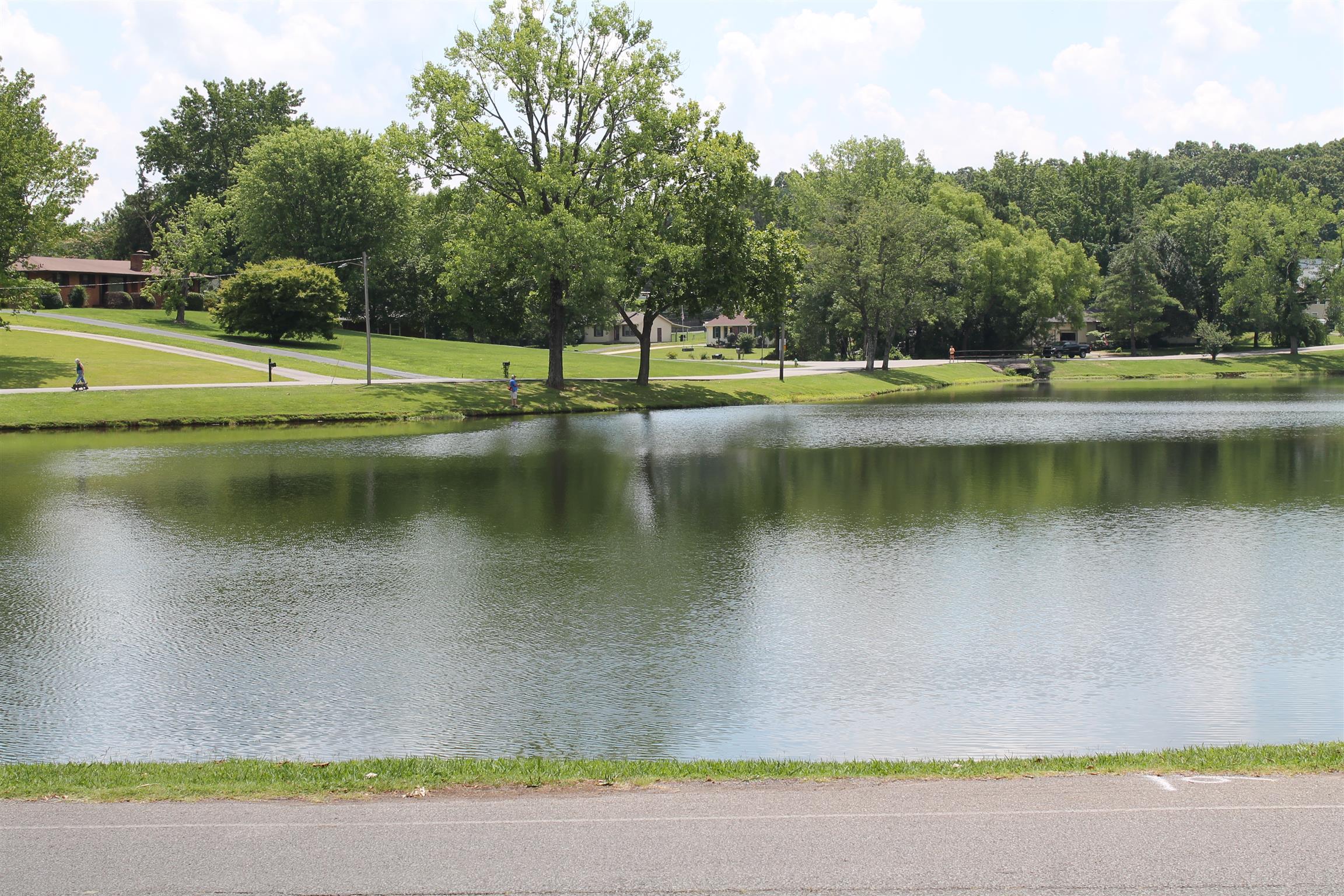 a view of a lake with a yard and a large trees