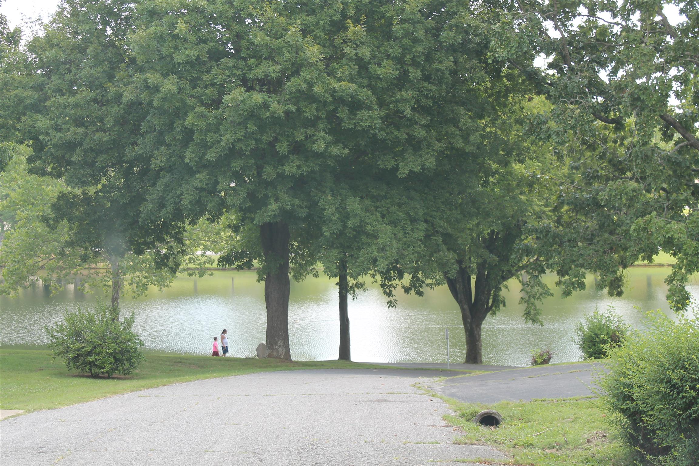 107 Lakeview Drive Dickson, TN 37055 - Photo 3 of 30 a view of a yard with an outdoor space