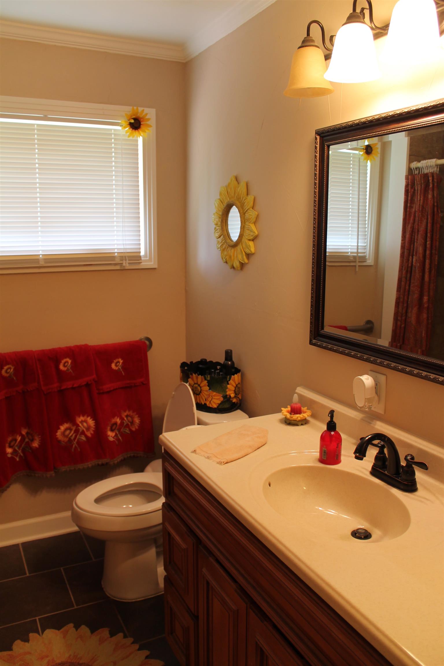107 Lakeview Drive Dickson, TN 37055 - Photo 24 of 30 a bathroom with a sink mirror and toilet