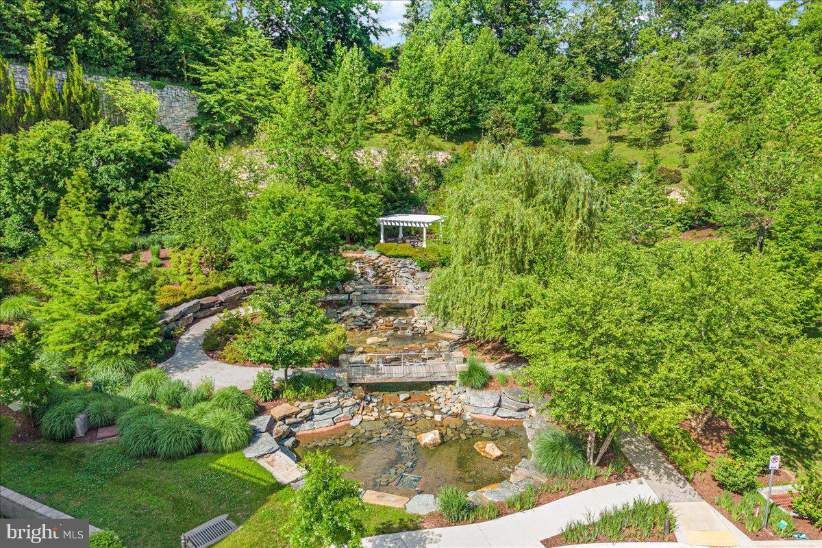 8111 River Road, Unit 131 Bethesda, MD 20817 - Photo 55 of 59 Gazebo, bridge and stream with walkways