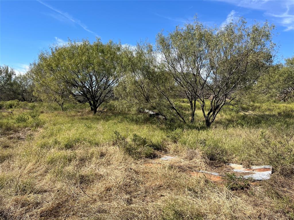 0 Fm 175 Henrietta, TX 76365 - Photo 11 of 35 a view of a yard with a tree