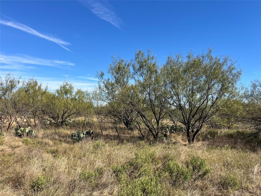 0 Fm 175 Henrietta, TX 76365 - Photo 15 of 35 a view of a sky view