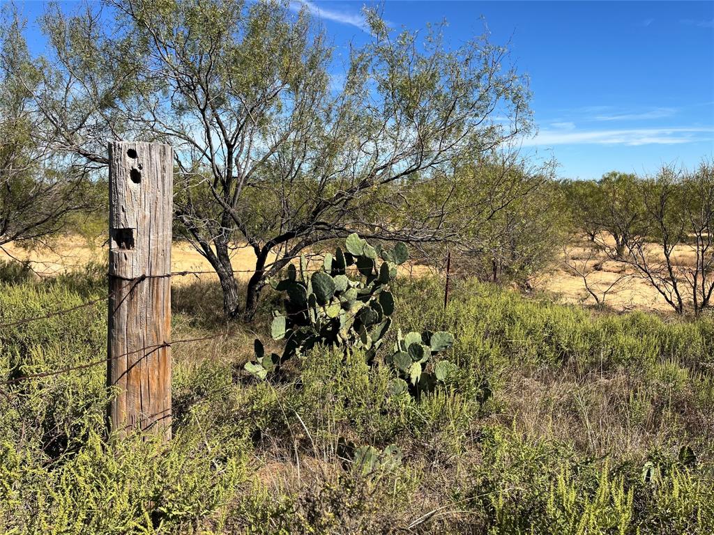 0 Fm 175 Henrietta, TX 76365 - Photo 16 of 35 a backyard of a house with lots of green space