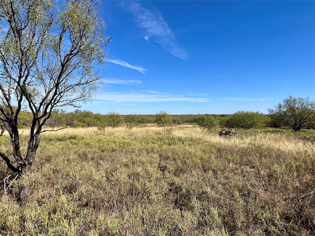 0 Fm 175 Henrietta, TX 76365 - Photo 18 of 35 a view of yard with ocean view