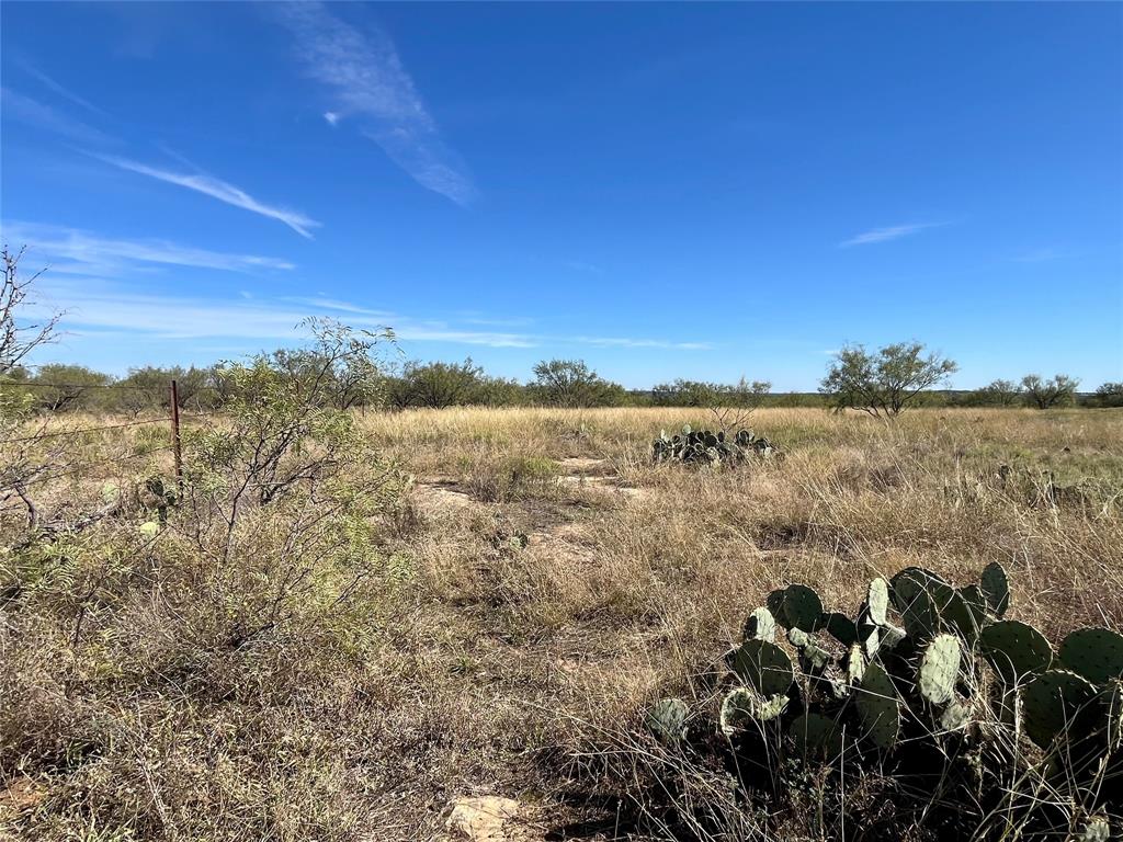 0 Fm 175 Henrietta, TX 76365 - Photo 21 of 35 a view of lake and mountain