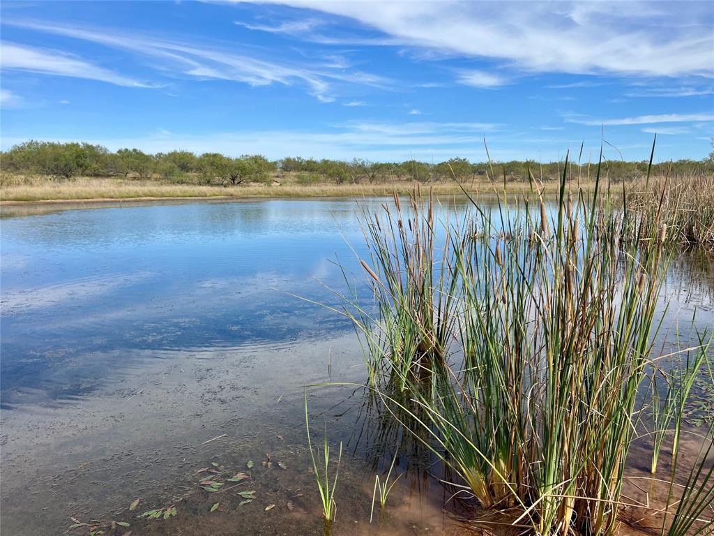 0 Fm 175 Henrietta, TX 76365 - Photo 24 of 35 a view of a lake with a mountain