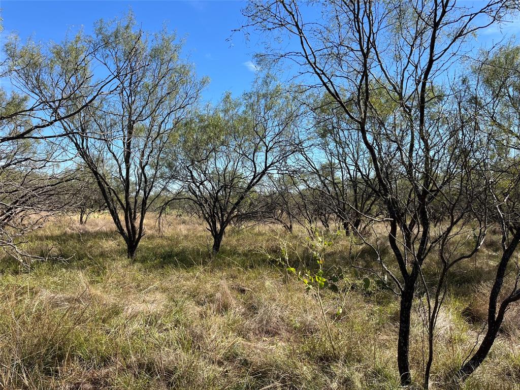 0 Fm 175 Henrietta, TX 76365 - Photo 26 of 35 a backyard of a house with lots of green space