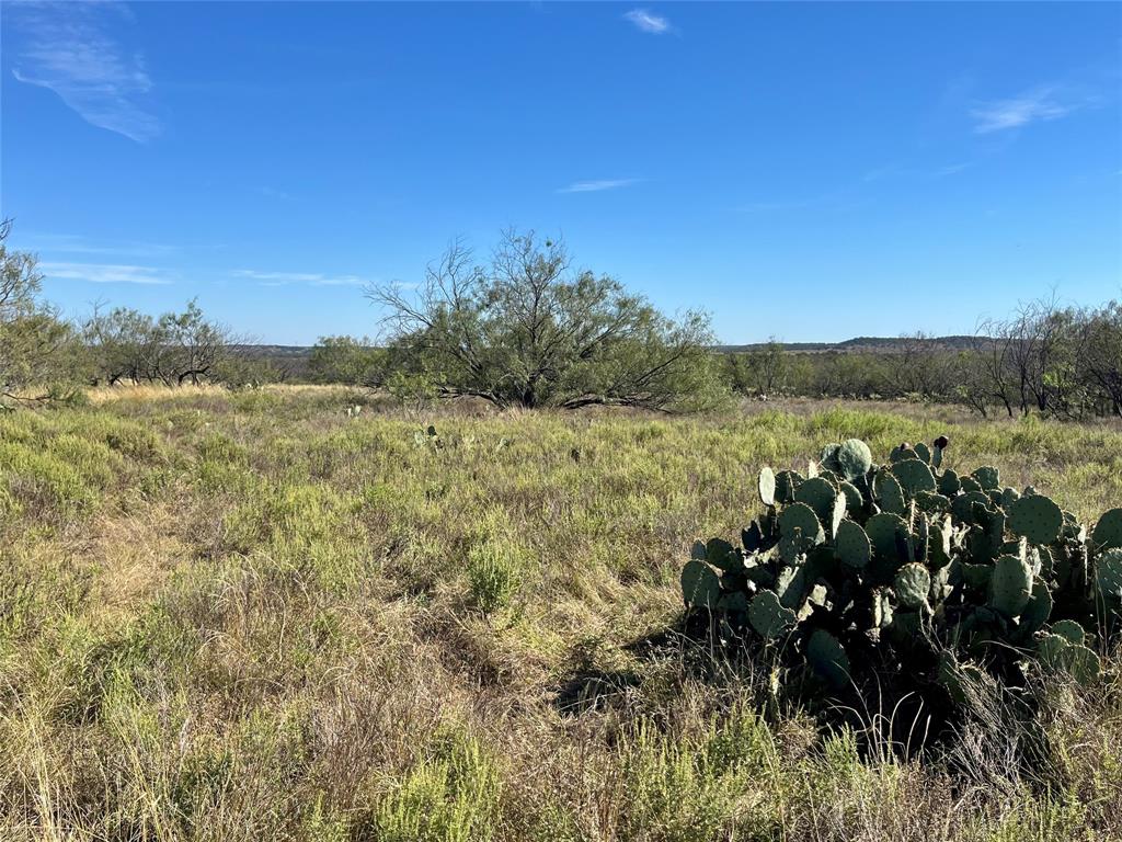 0 Fm 175 Henrietta, TX 76365 - Photo 27 of 35 a view of a large body of water with a mountain in the background