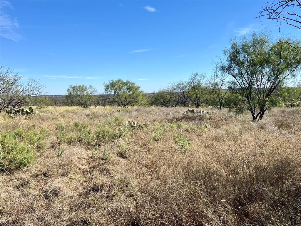 0 Fm 175 Henrietta, TX 76365 - Photo 28 of 35 a view of lake and mountain