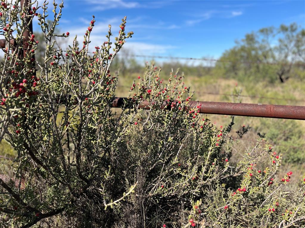 0 Fm 175 Henrietta, TX 76365 - Photo 30 of 35