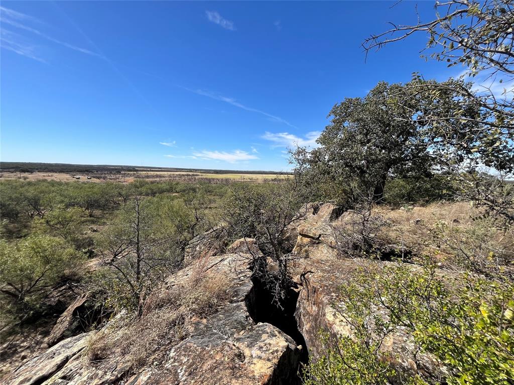 0 Fm 175 Henrietta, TX 76365 - Photo 3 of 35 a view of a yard with wooden fence