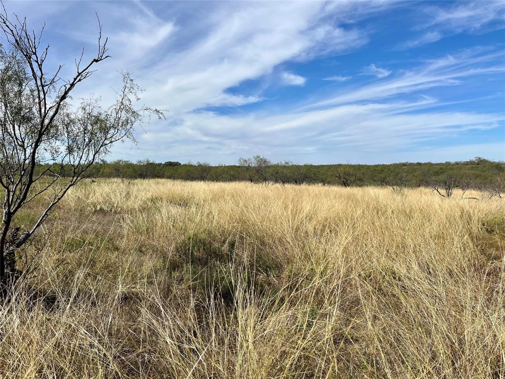 0 Fm 175 Henrietta, TX 76365 - Photo 31 of 35 a view of an ocean and beach