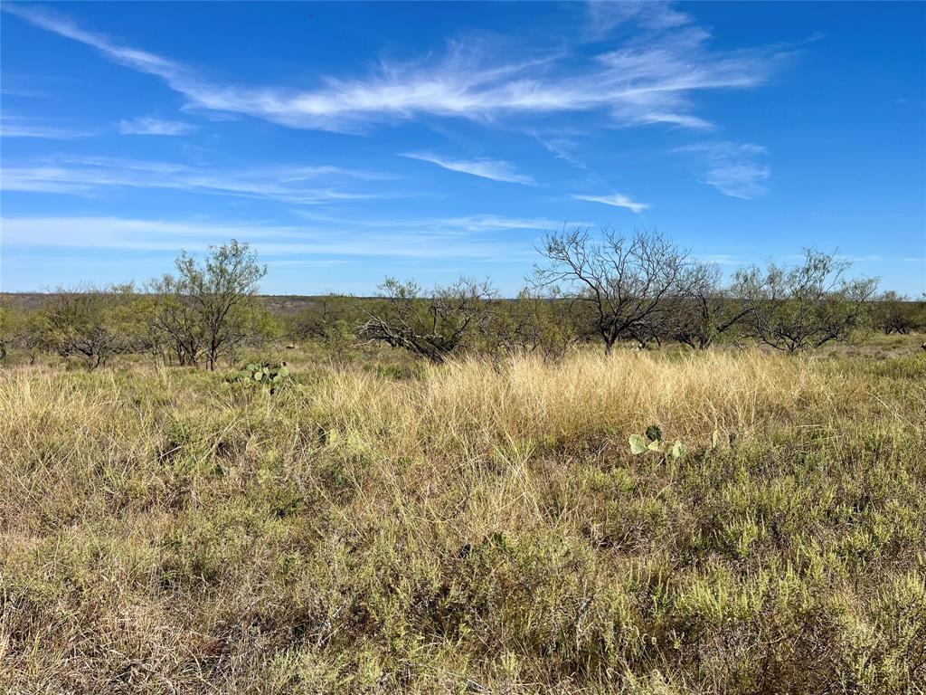 0 Fm 175 Henrietta, TX 76365 - Photo 32 of 35 a view of a lake with houses in the back