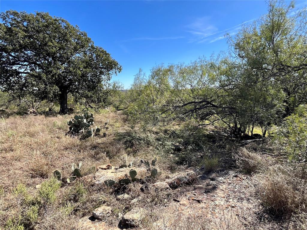 0 Fm 175 Henrietta, TX 76365 - Photo 4 of 35 a view of a covered with trees in the background