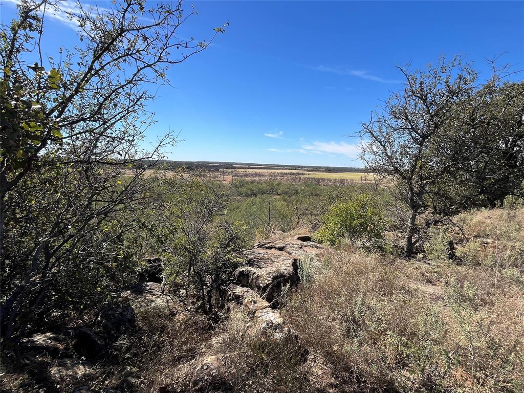 0 Fm 175 Henrietta, TX 76365 - Photo 5 of 35 a view of a large yard with lots of bushes