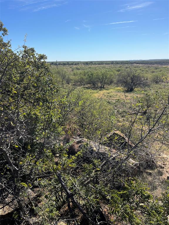 0 Fm 175 Henrietta, TX 76365 - Photo 6 of 35 an aerial view of residential houses with outdoor space